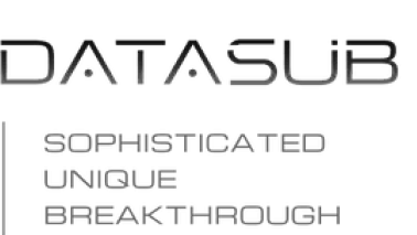 Логотип Datasub